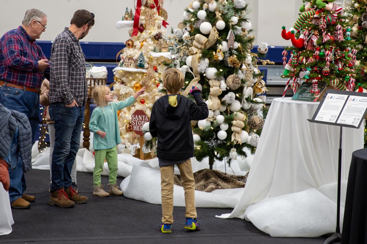 Summit_Festival_of_Trees_scaled_24ae70d1-96c9-49fd-b73a-f2980fcaf846