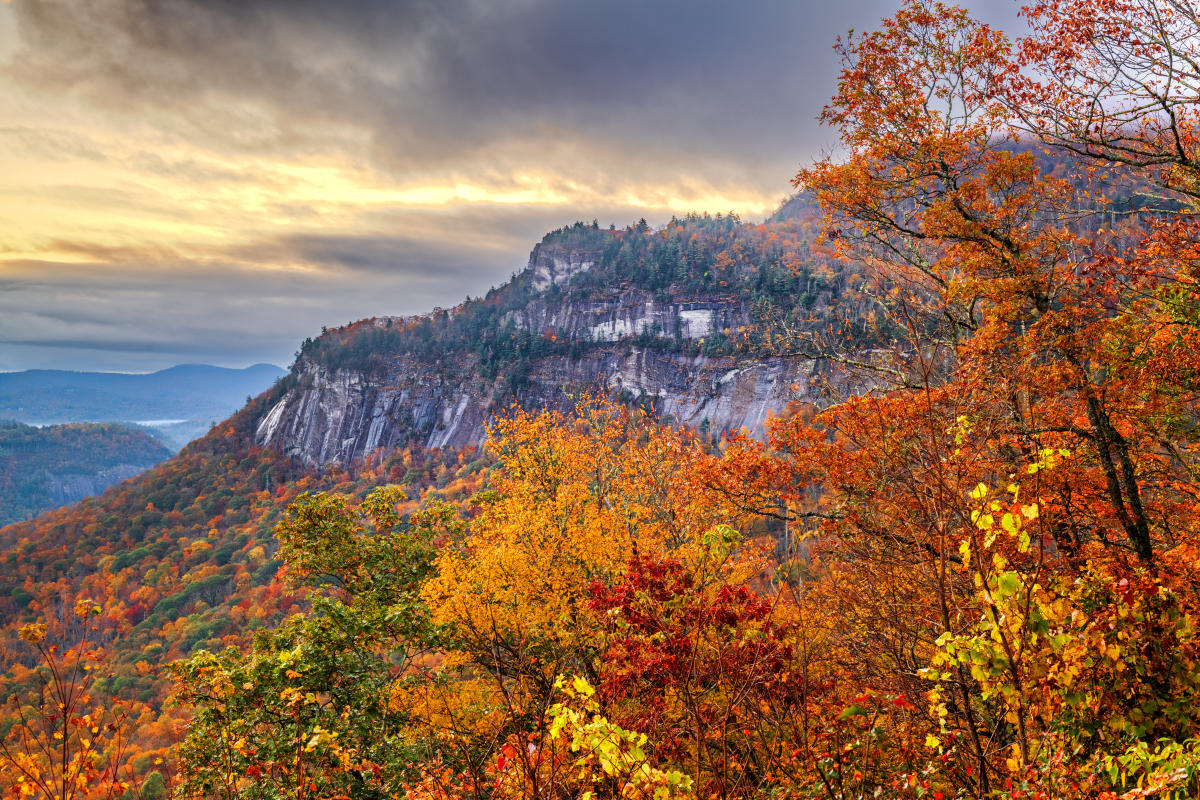 A dramatic view of the sheer rock cliffs of Whiteside Mountain surrounded by vibrant red, orange, and yellow autumn foliage under a glowing sunset sky in Jackson County, NC.