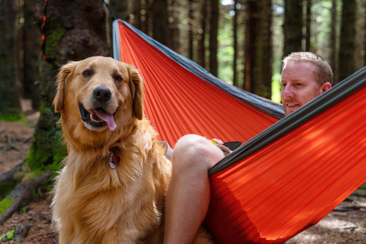 Dog Friendly - Panthertown Valley