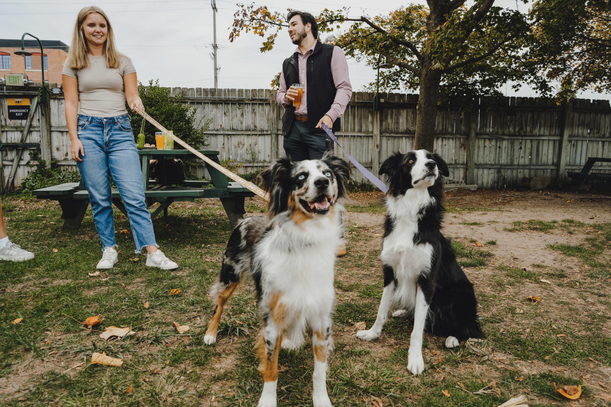 Two black and white dogs stand in front of their owners in the beer garden at Bell's Brewery & Eccentric Cafe.