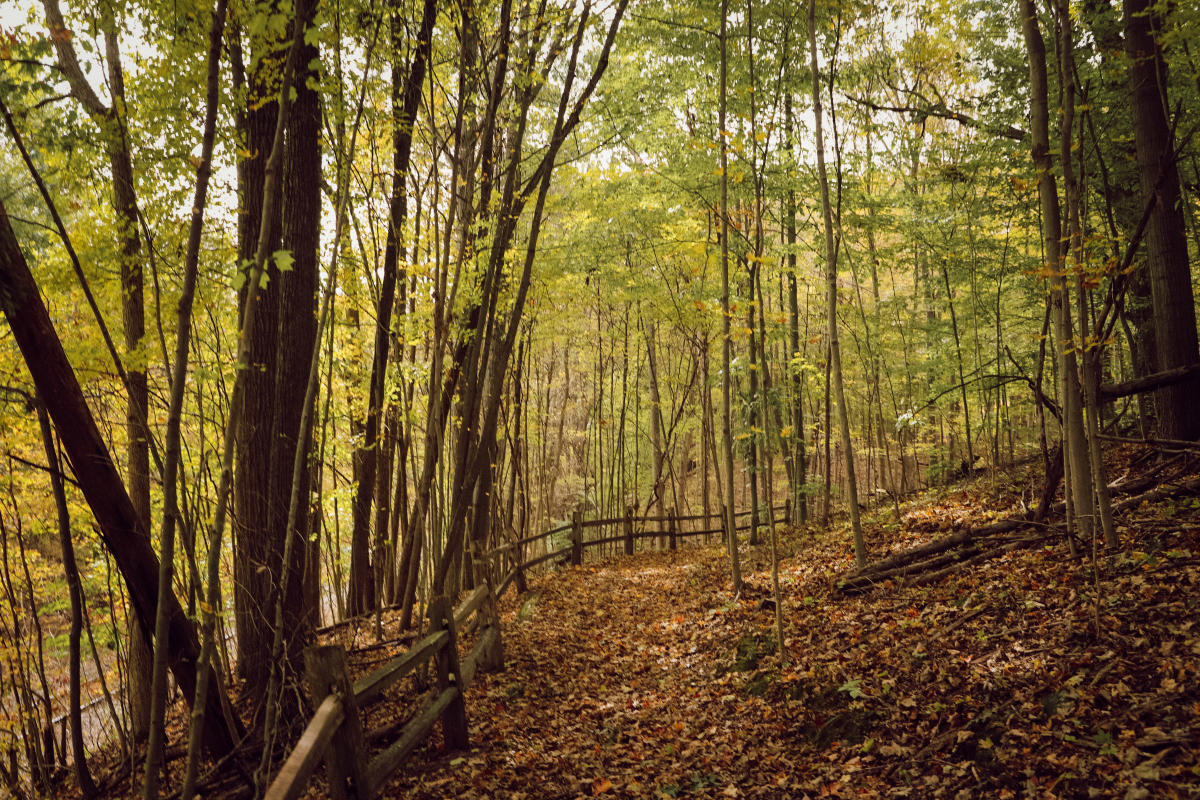 Kalamazoo Nature Center