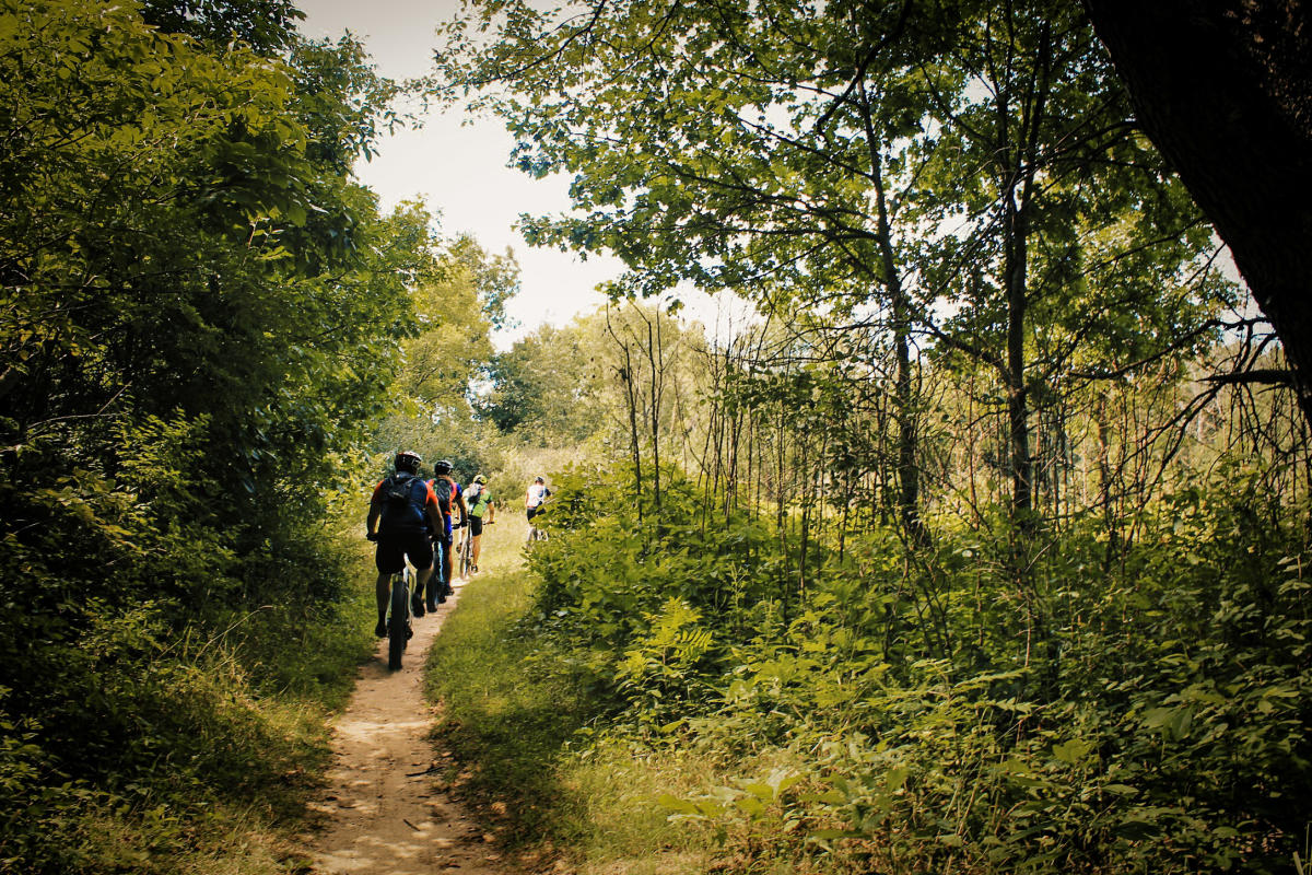 Mountain bikers on a trail