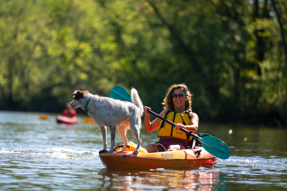 Kayaker on the Kalamazoo River