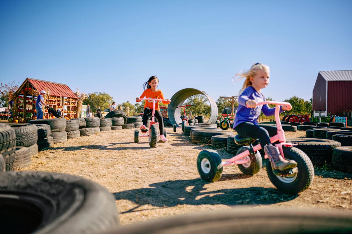 Kids playing at A and H Farm near Manhattan