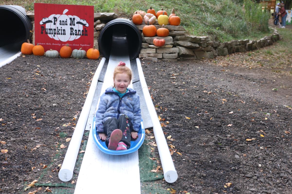 Girl sliding down a homemade slide at pumpkin pants ranch