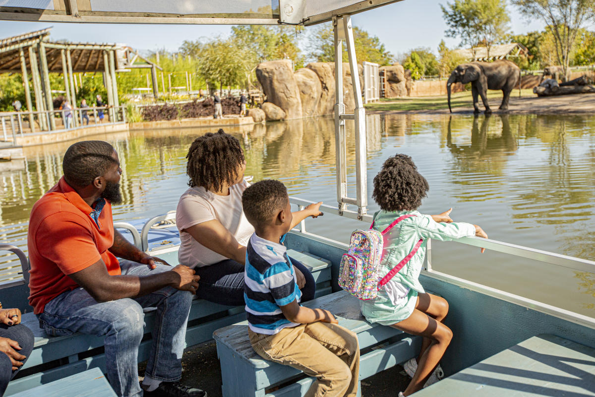 Family at Sedgwick County Zoo Views Elephants