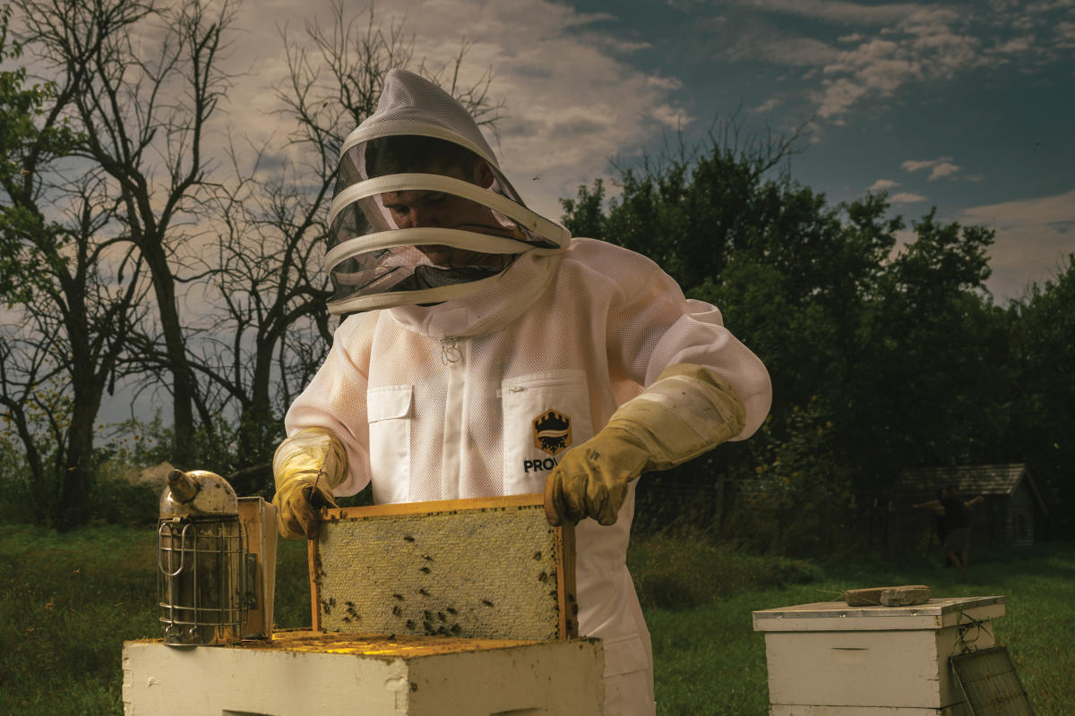 a person dressed in a white suit protective bee suit, the person is holding a bee hive frame.
