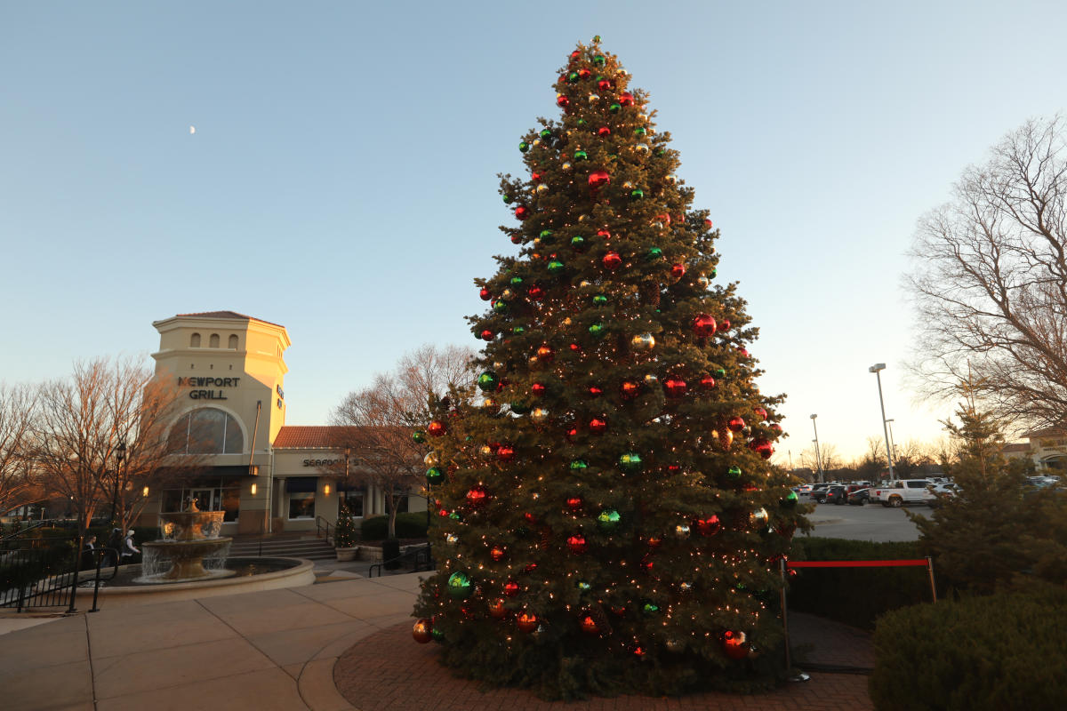 Bradley Fair Christmas Tree