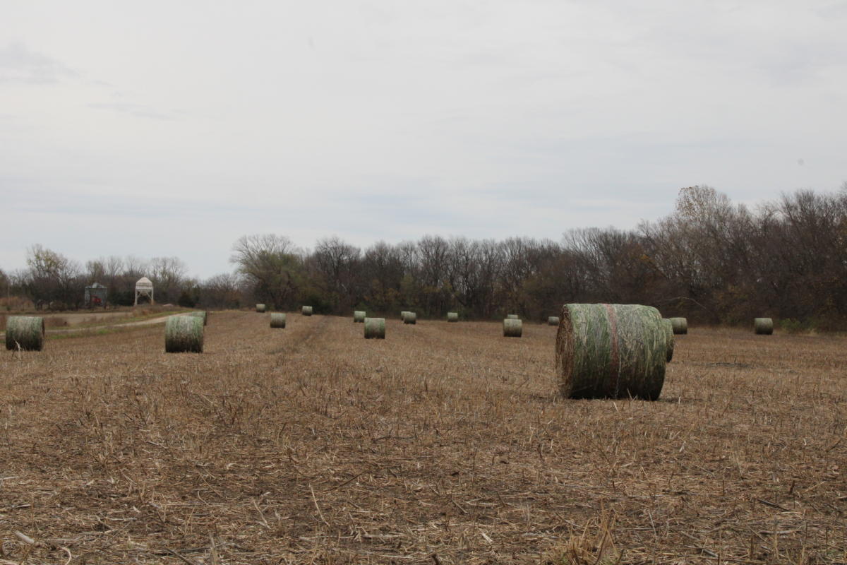 Prairie Band Ag - Hemp Farm