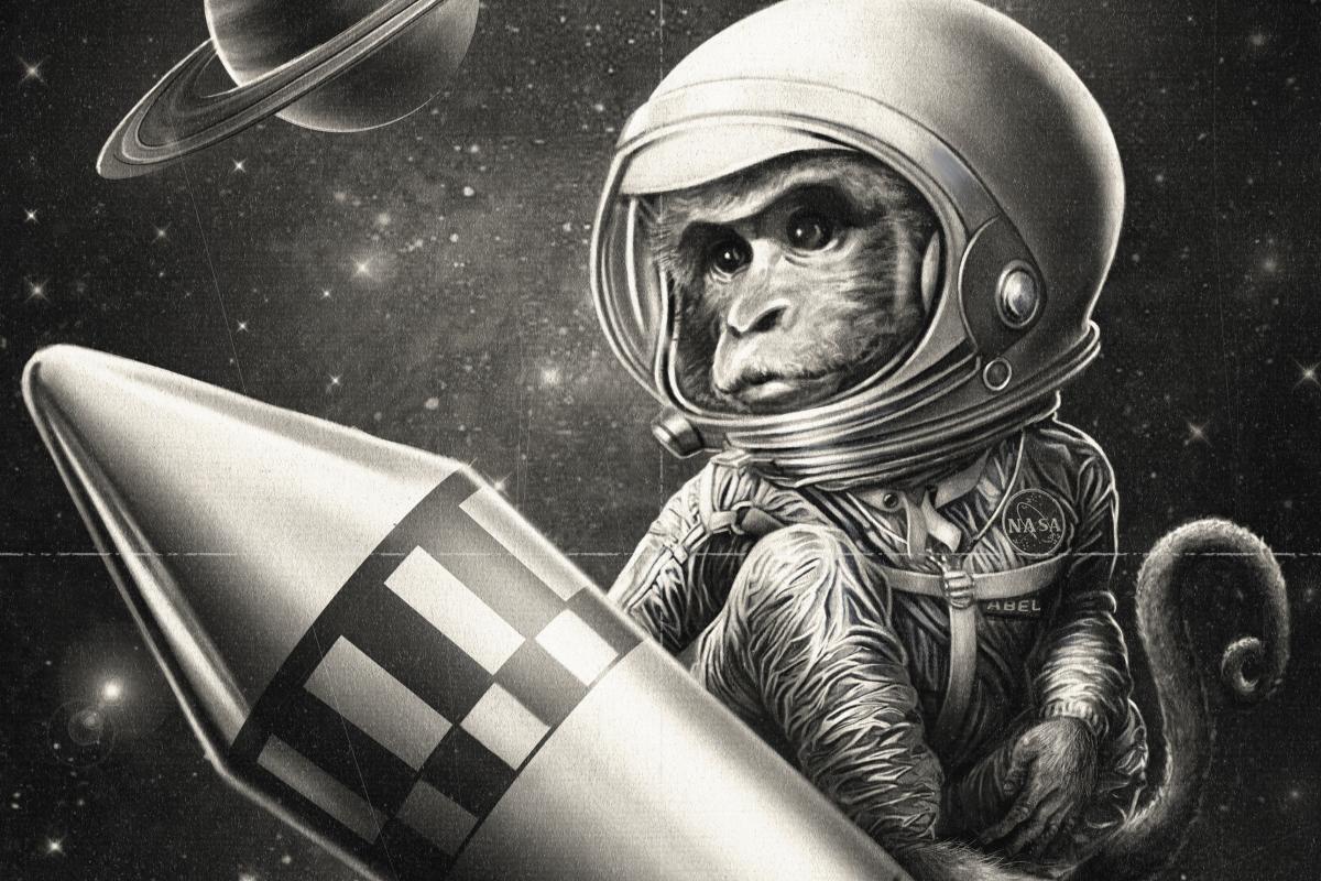 black and white illustration of a monkey, wearing a space suit, rides on a rocket
