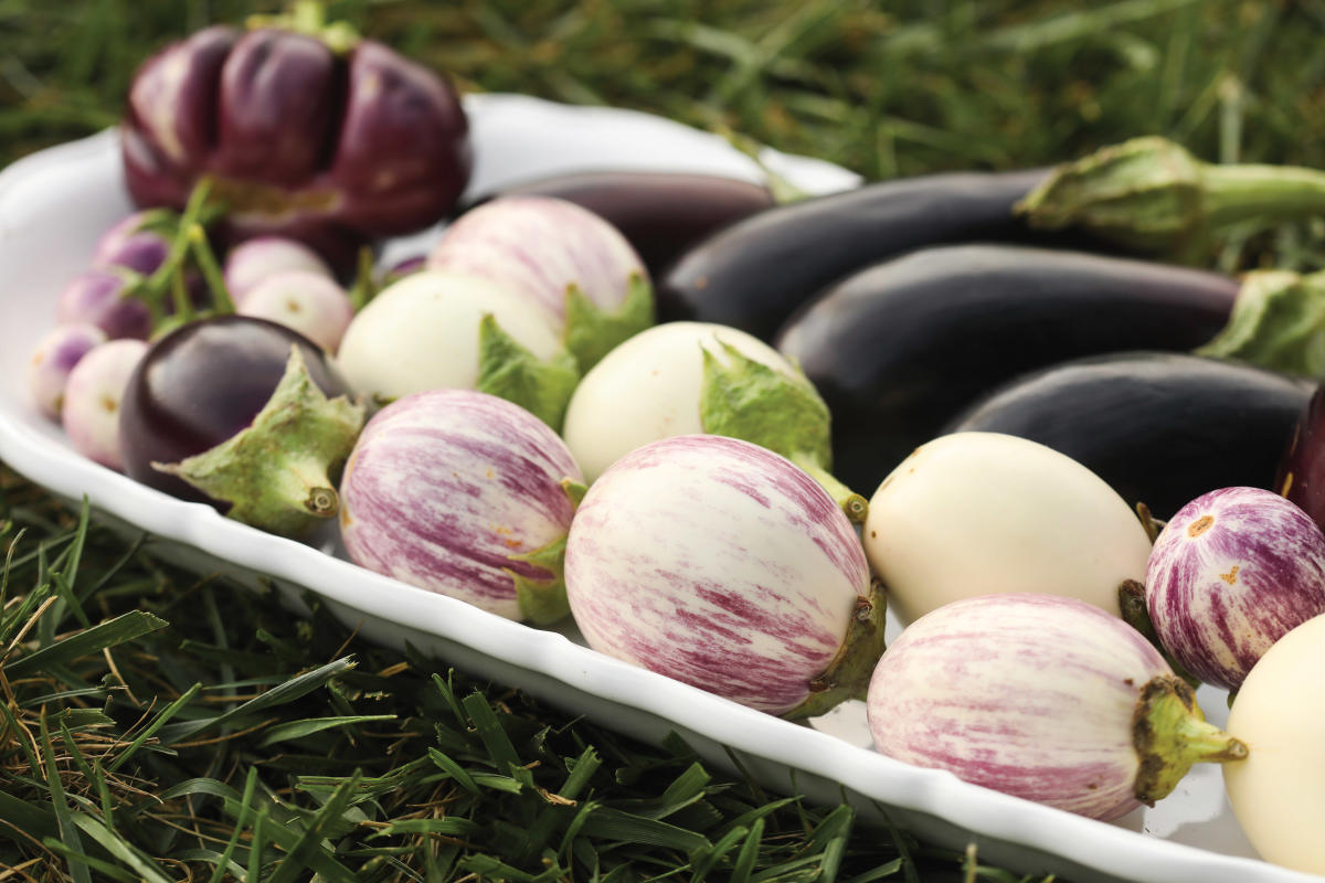 eggplant on a plate