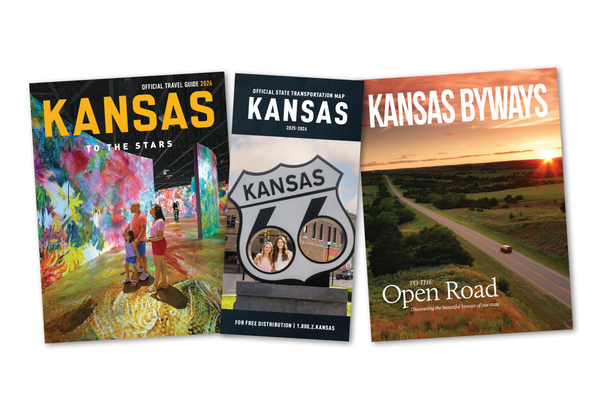 Travel Guide Ordering Graphic - 3 Across