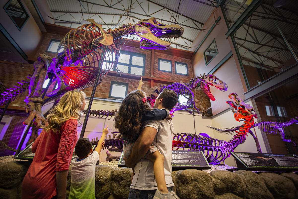 Museum of World Treasures Visit Wichita