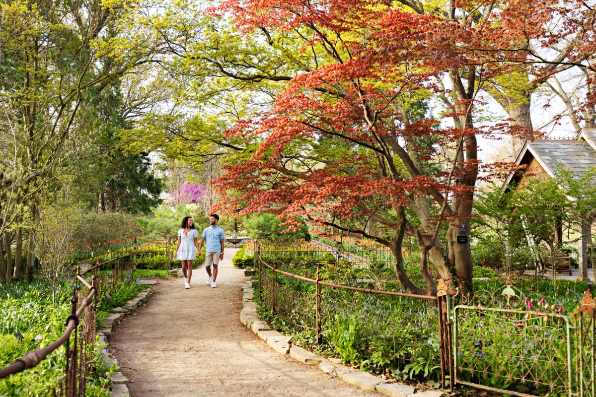 Bartlett Arboretum Wichita