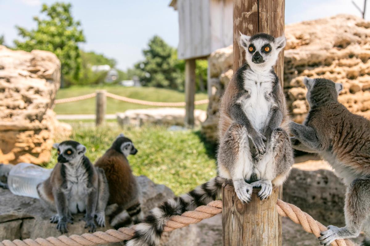 Tanganyika Wildlife Park