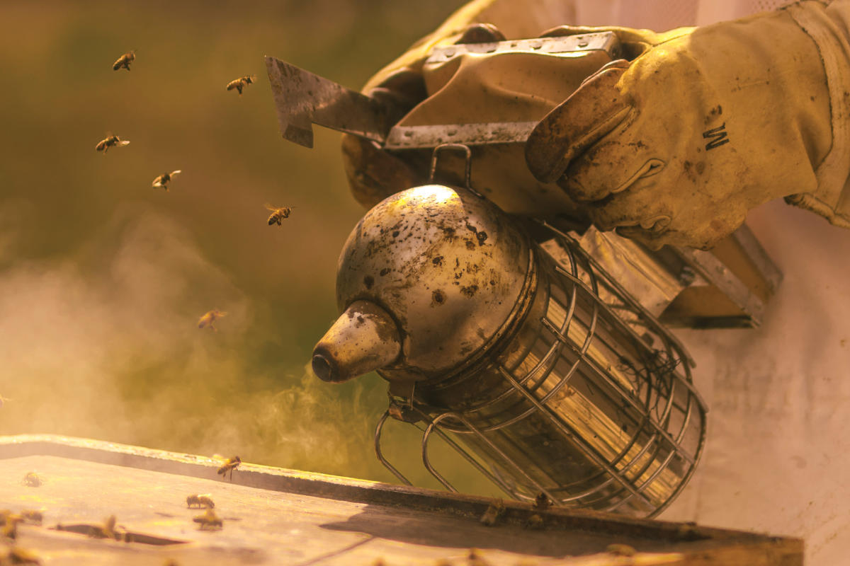 ksm-beekeeper