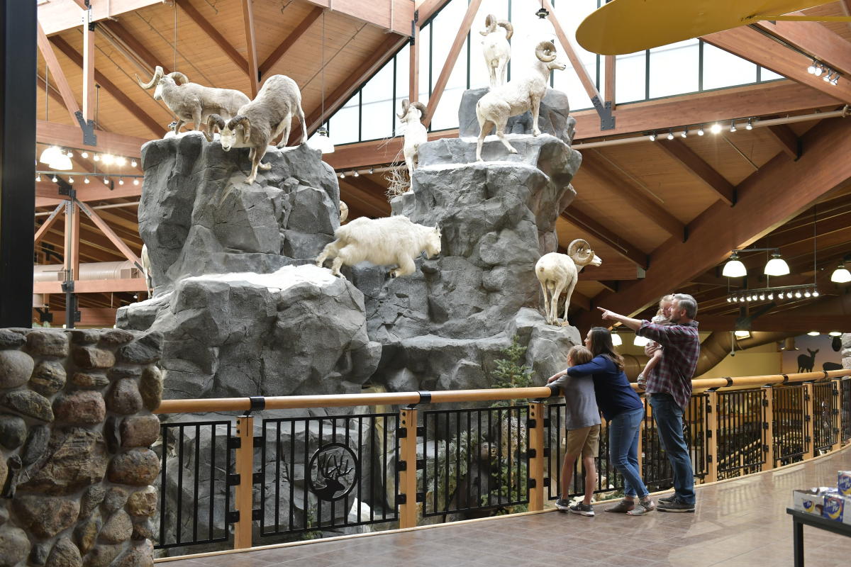 Cabelas balcony