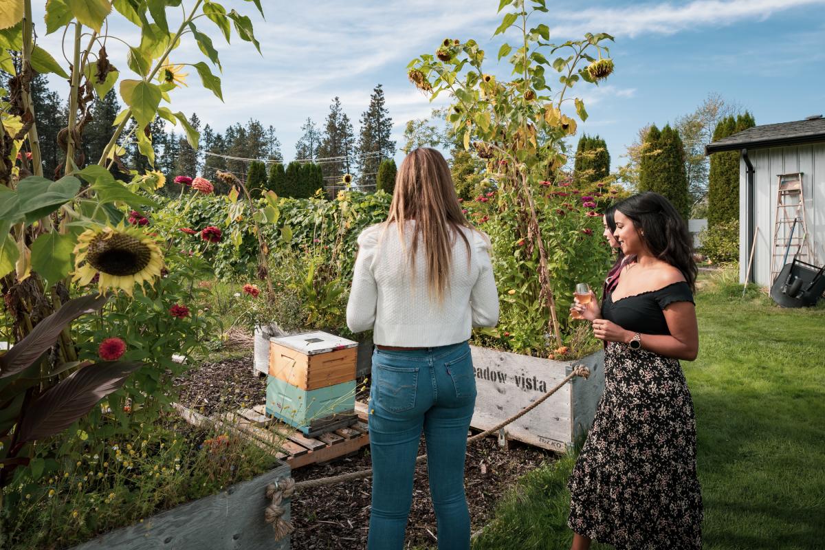 Bee Hives at Meadow Vista Honey Wines 1