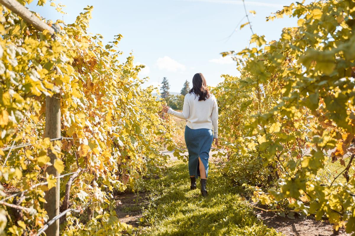 2023, Fall, October. Photo from Traveling Out in the Thompson Okanagan (TOTO) October 2023 Photoshoot.