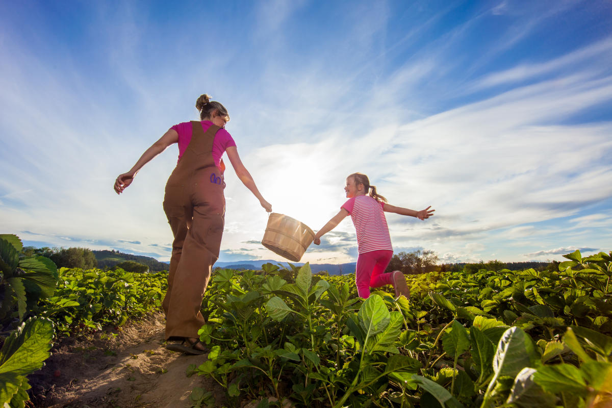 Farm to Table Tours