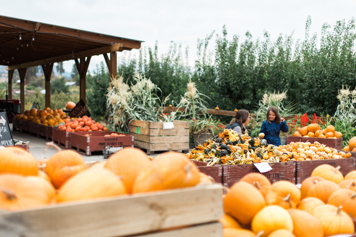 Paynter's Fruit Market - Fall Scene (20)