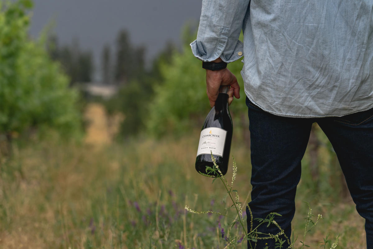 CedarCreek Estate Winery-Man Holding Pinot Noir Bottle