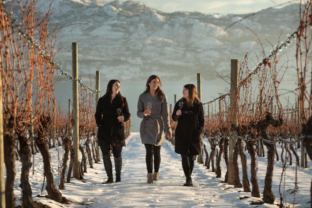 Quails' Gate Winery-Snowy Winter (10)