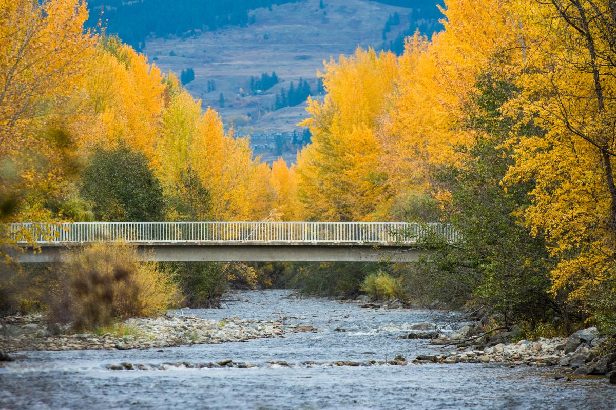 Mission_Creek_Greenway_Regional_Park_Fall_1_