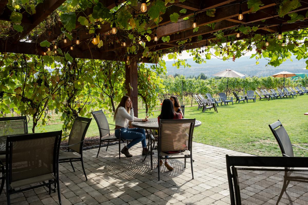 Group Enjoying Glass of Wine on Patio of Priest Creek Winery 1