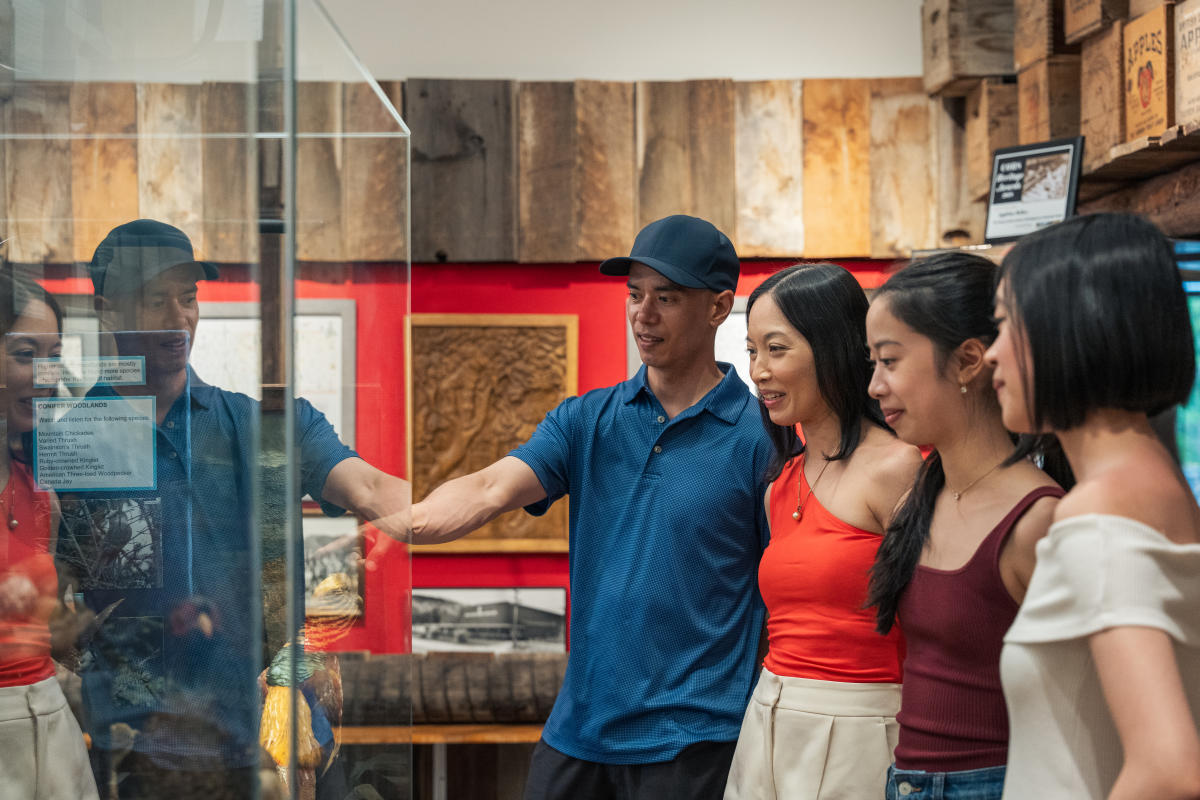 Family Viewing Exhibit at Lake Country Museum