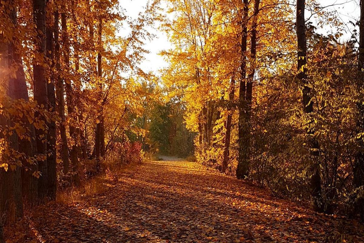 Fall Along Mission Creek Greenway