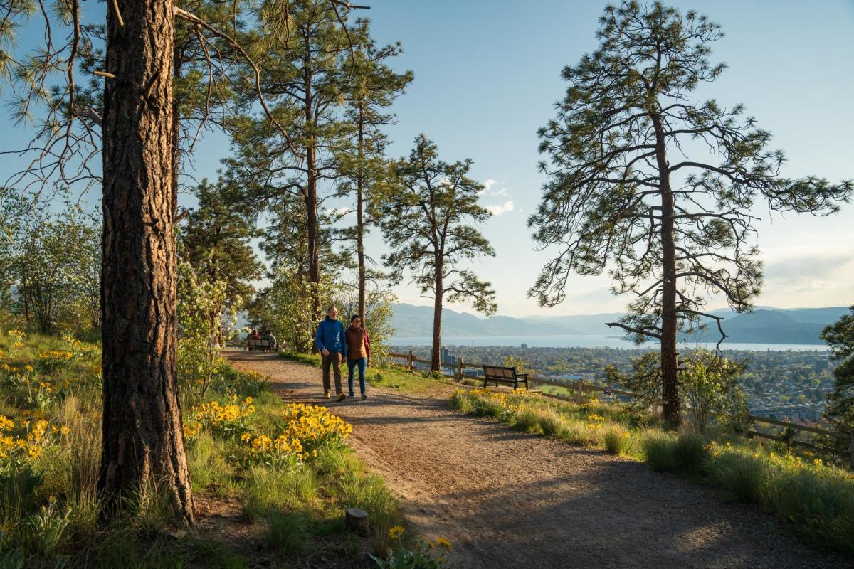 Couple at Dilworth Mountain Park 4