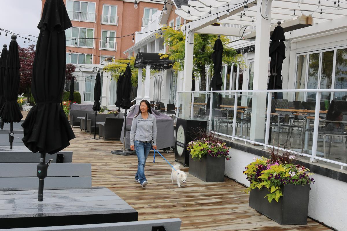 Hotel Eldorado Boardwalk with Dog