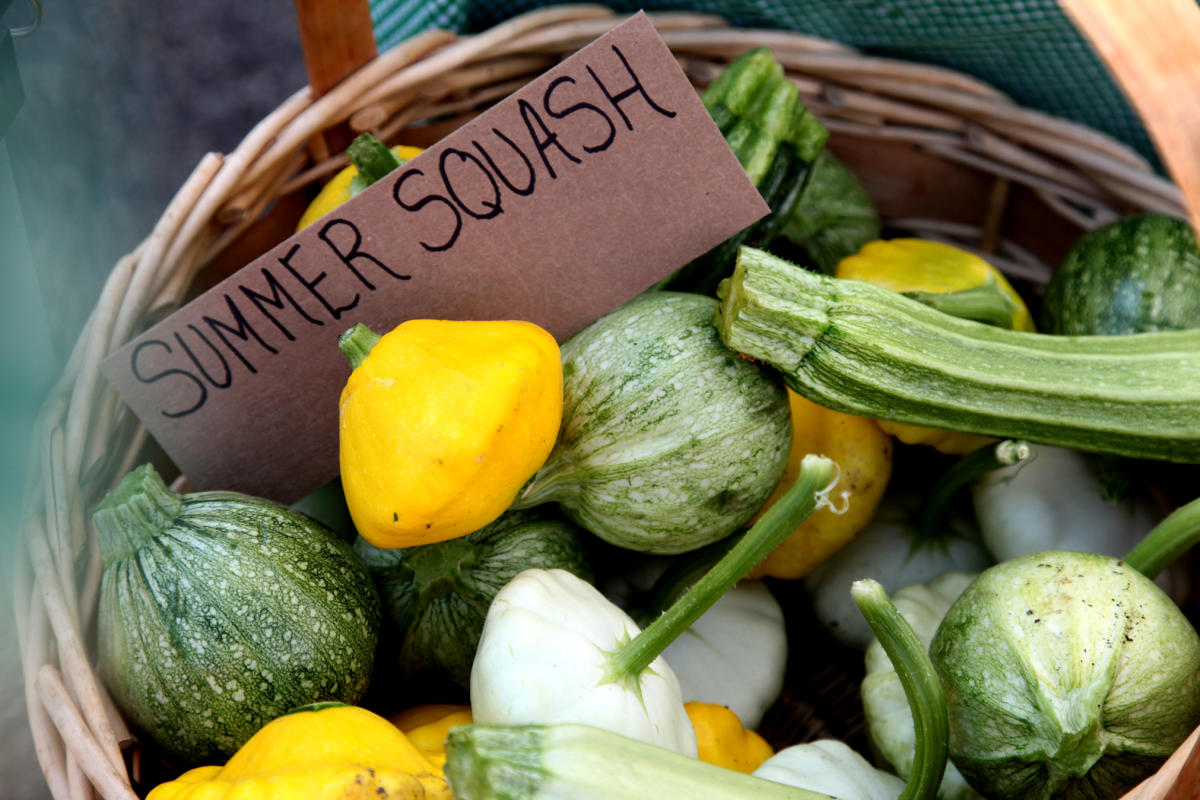 Kelowna Farmers' & Crafters' Market Squash