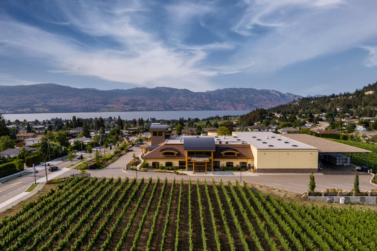 Grizzli Winery - aerial