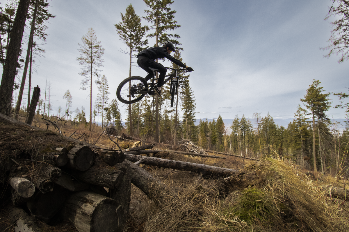 Mountain Biking at Gillard Trails