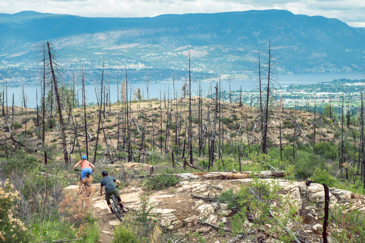 Mountain Biking Crawford Trails (Myra Bellevue Park) (2)