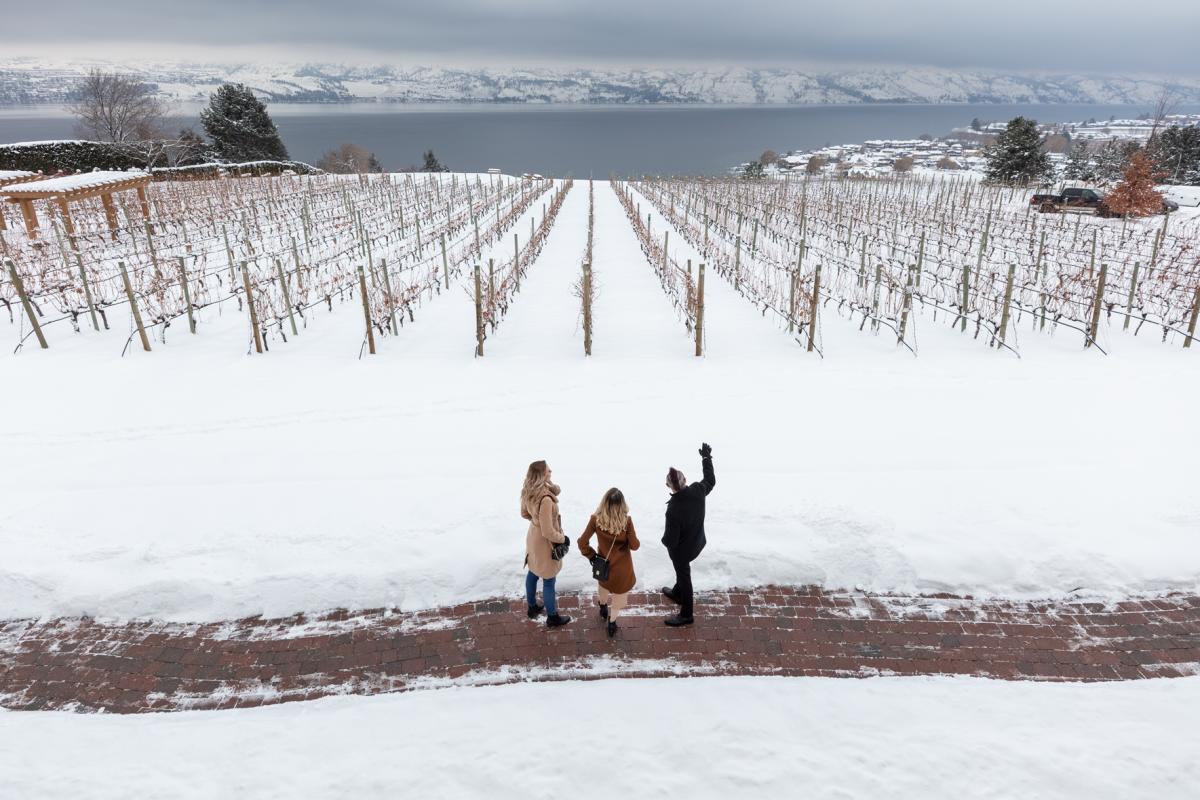 Wicked Wine Tours - Winter at Quails' Gate