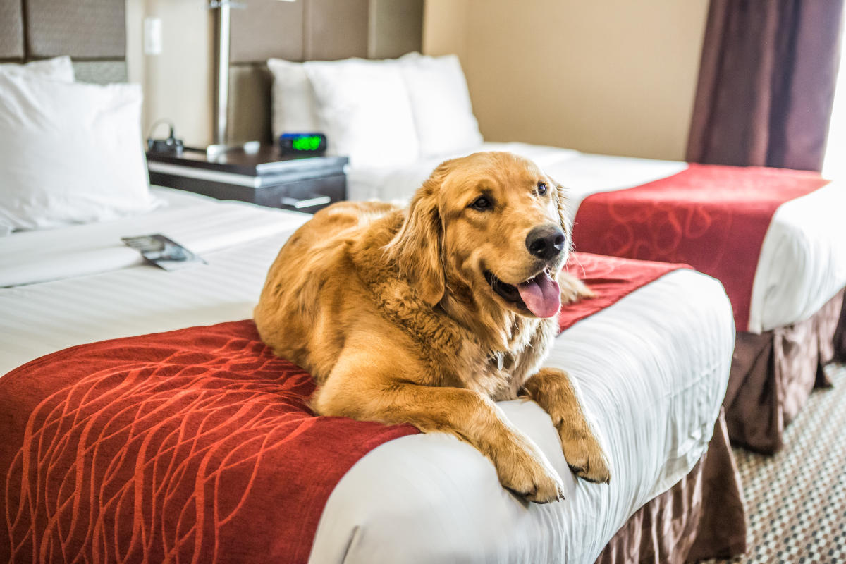 Comfort Suites