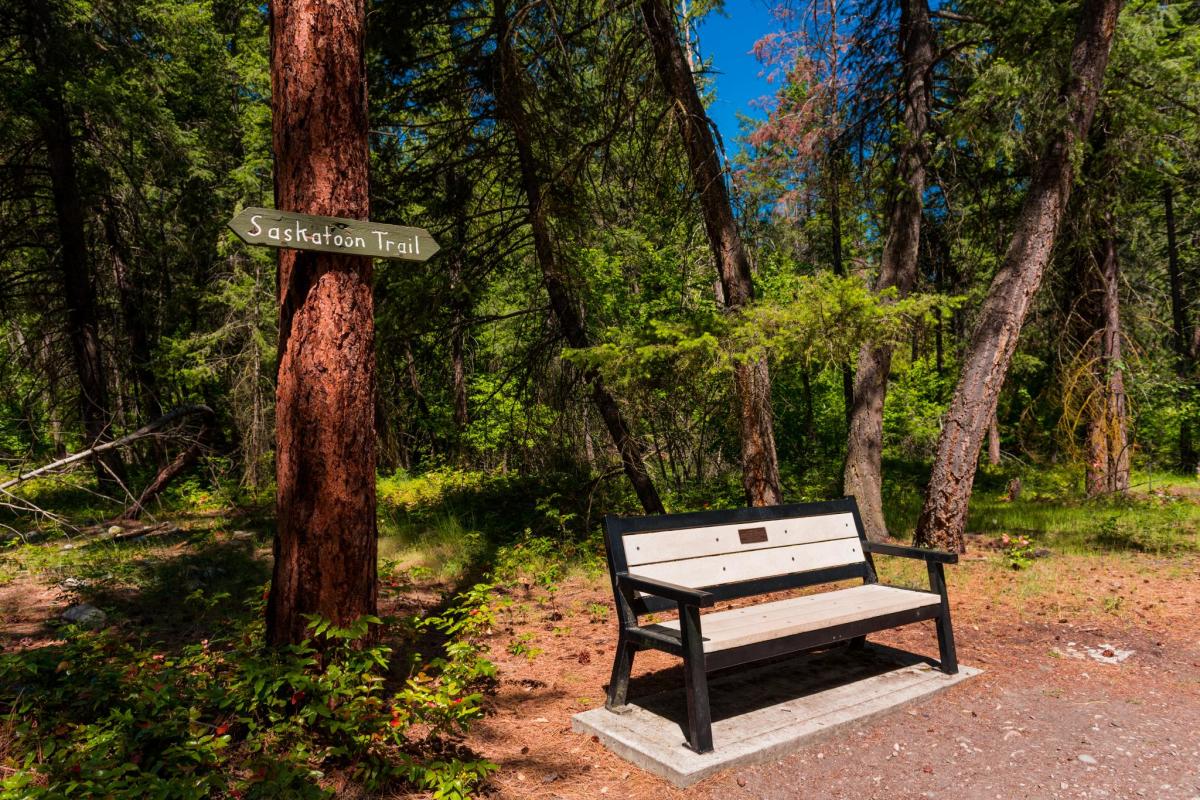 Discover Kelowna's Parks and Beaches Soak up the Sun at These Hidden Gems