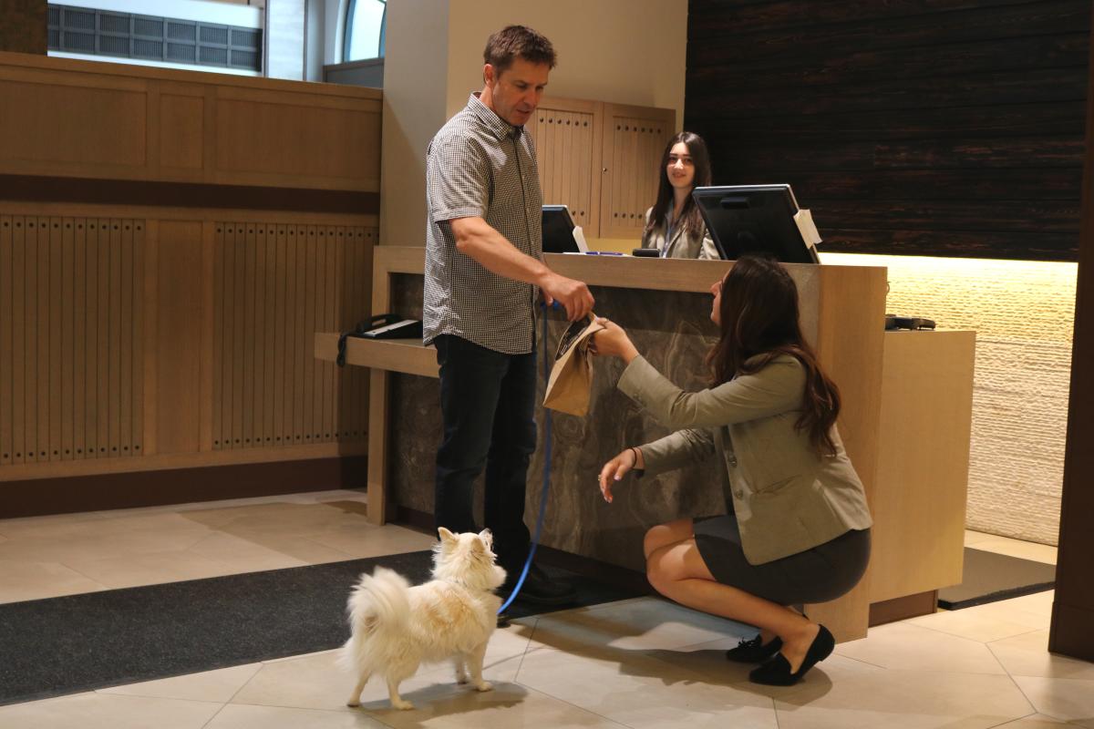 Delta Grand Dog Check in