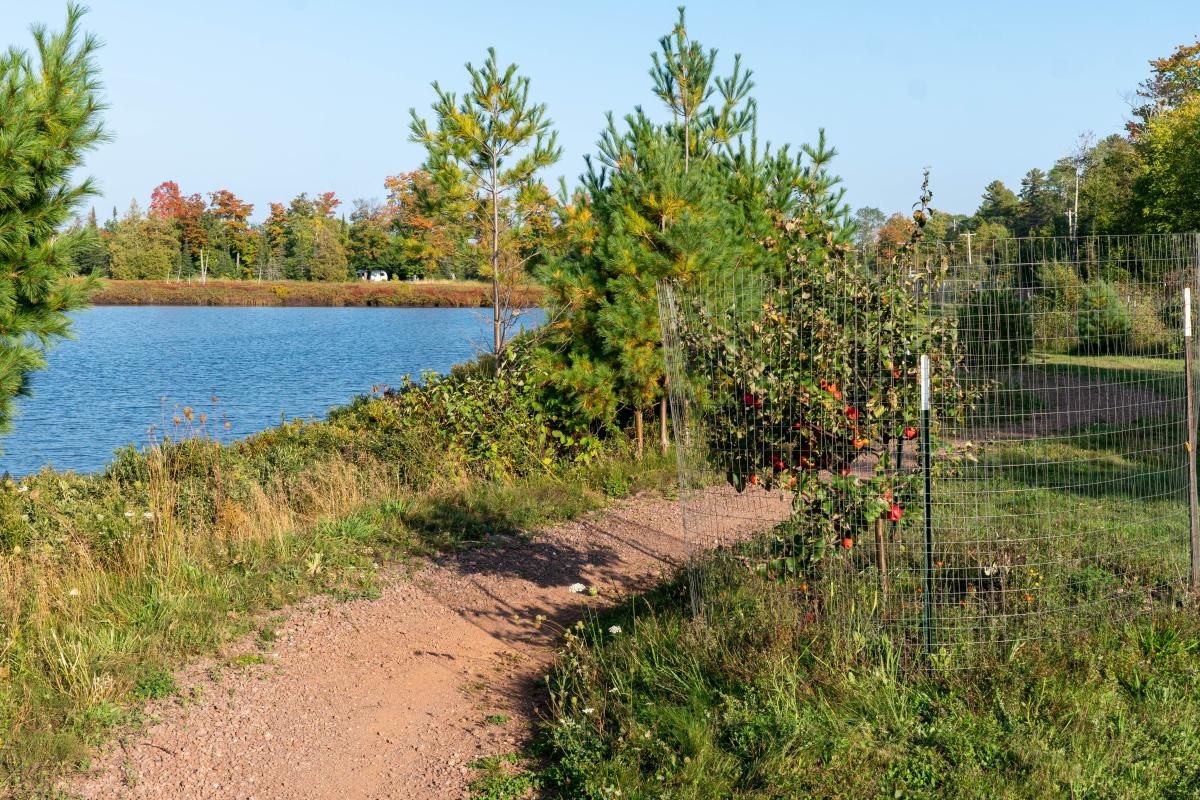 Photo of Orchard Trail