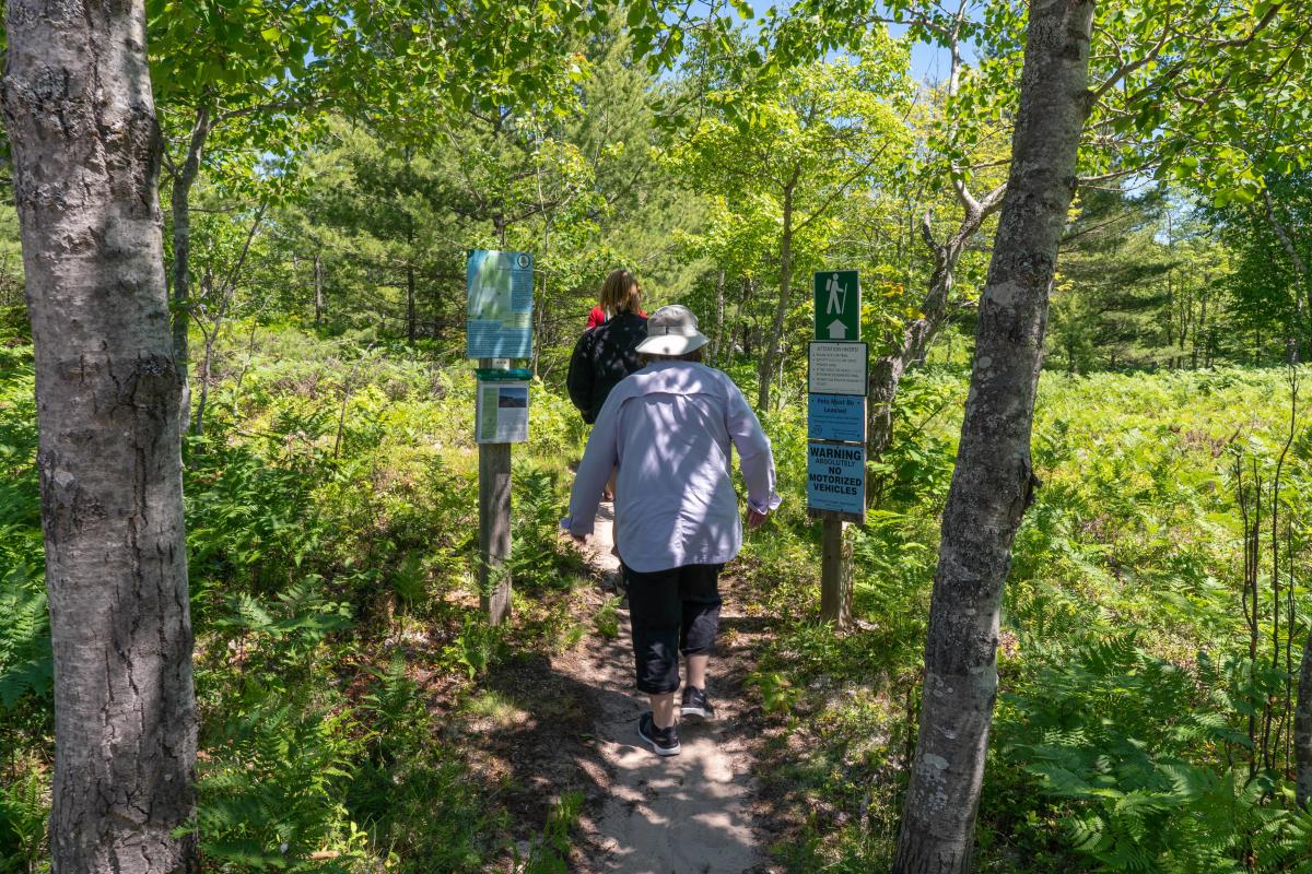 Two hikers walking along a sandy path at the Black Creek Nature Sanctuary