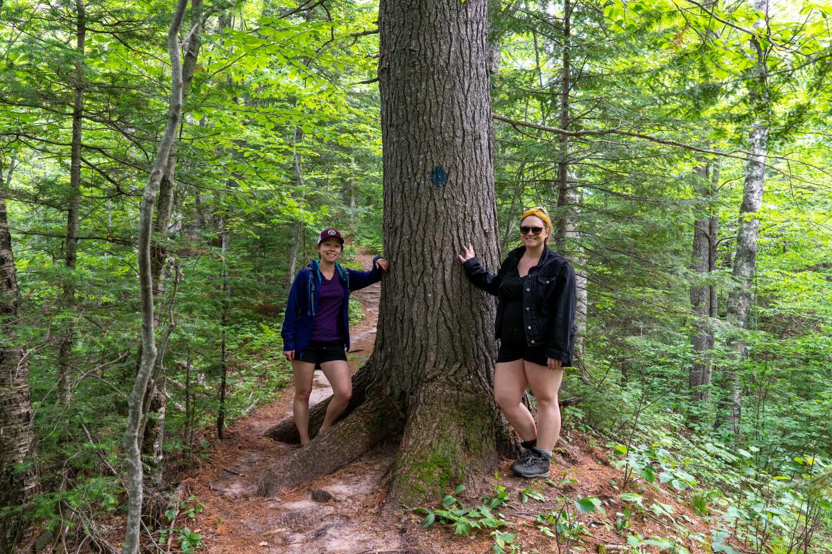 Two women pose next to large pine tree on a hiking trail.
