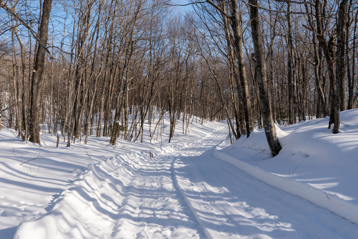 Mount Bohemia groomed trail.