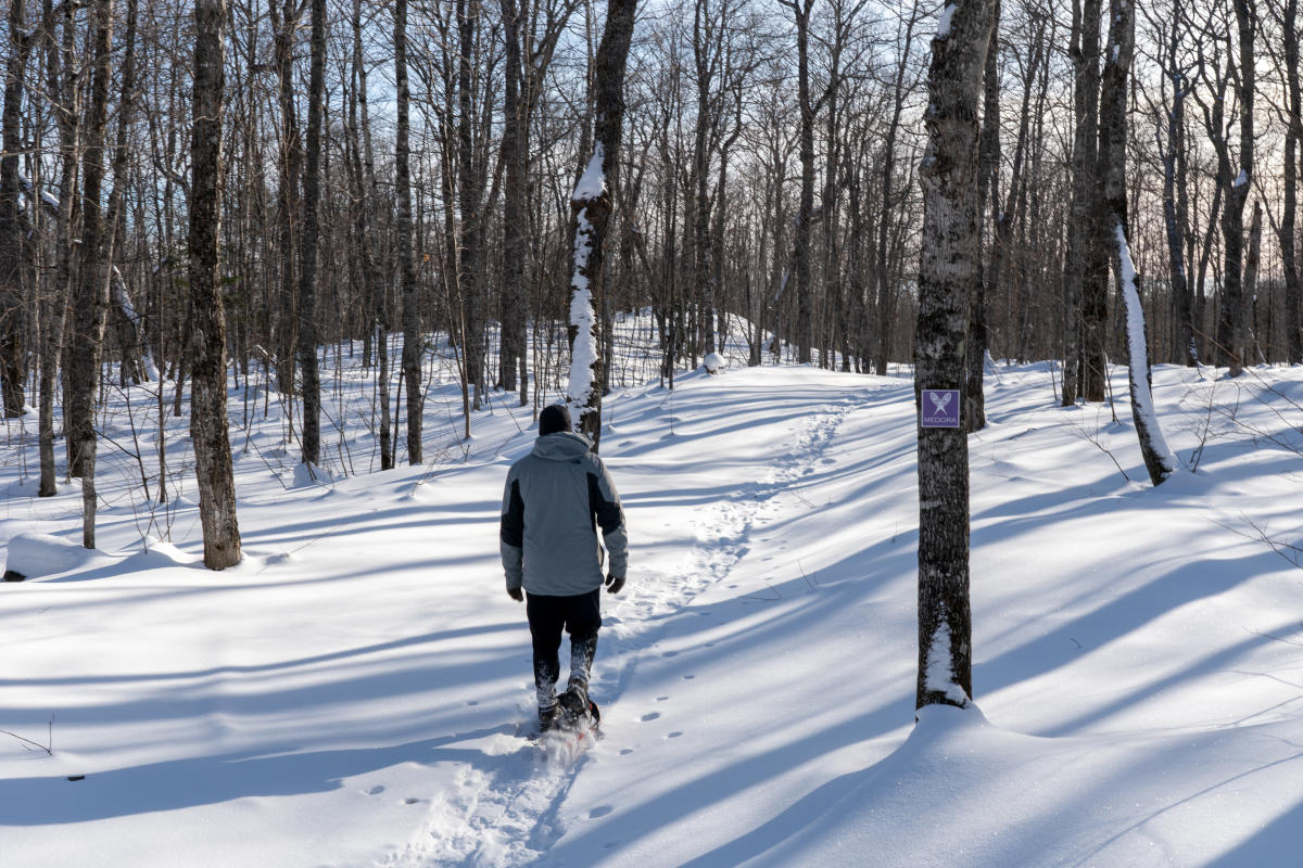 A snowshoer hikes through woods at Mount Bohemia.