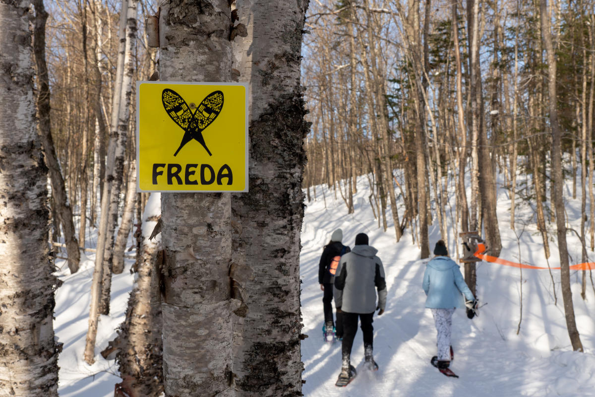 Snowshoe trail at Mount Bohemia with sign labeling it the Freda Trail.
