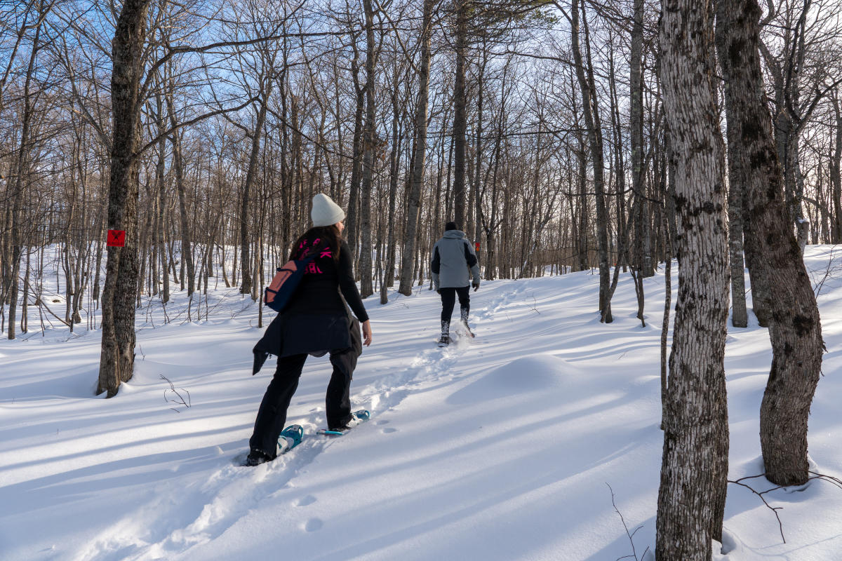 Snowshoers climb a gradual hill on Mount Bohemia's Eagle loop.