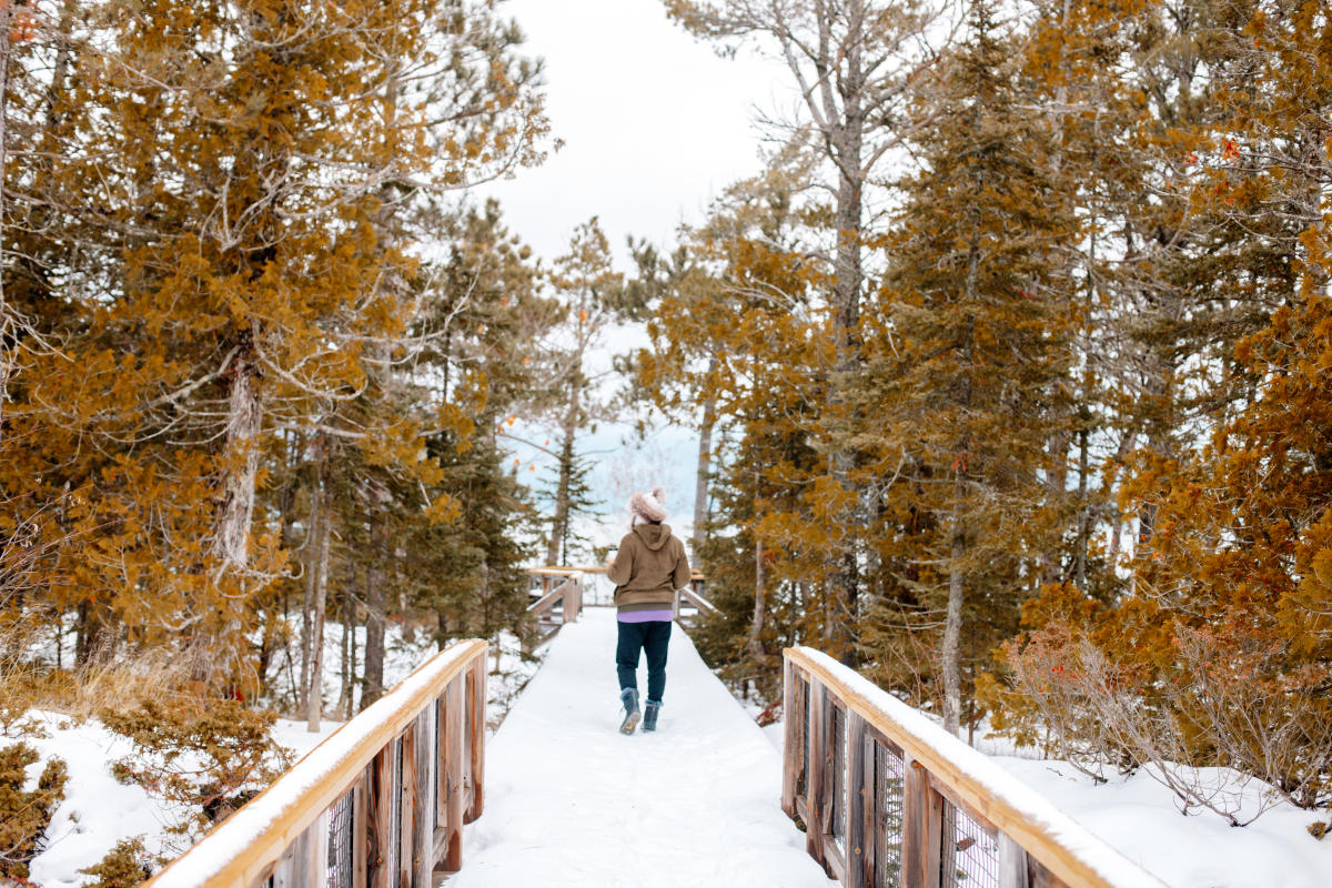 a person walks a snowy boardwalk towards a forested shoreline