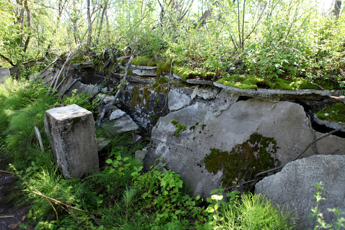 cement ruins of the chassell lumber mill